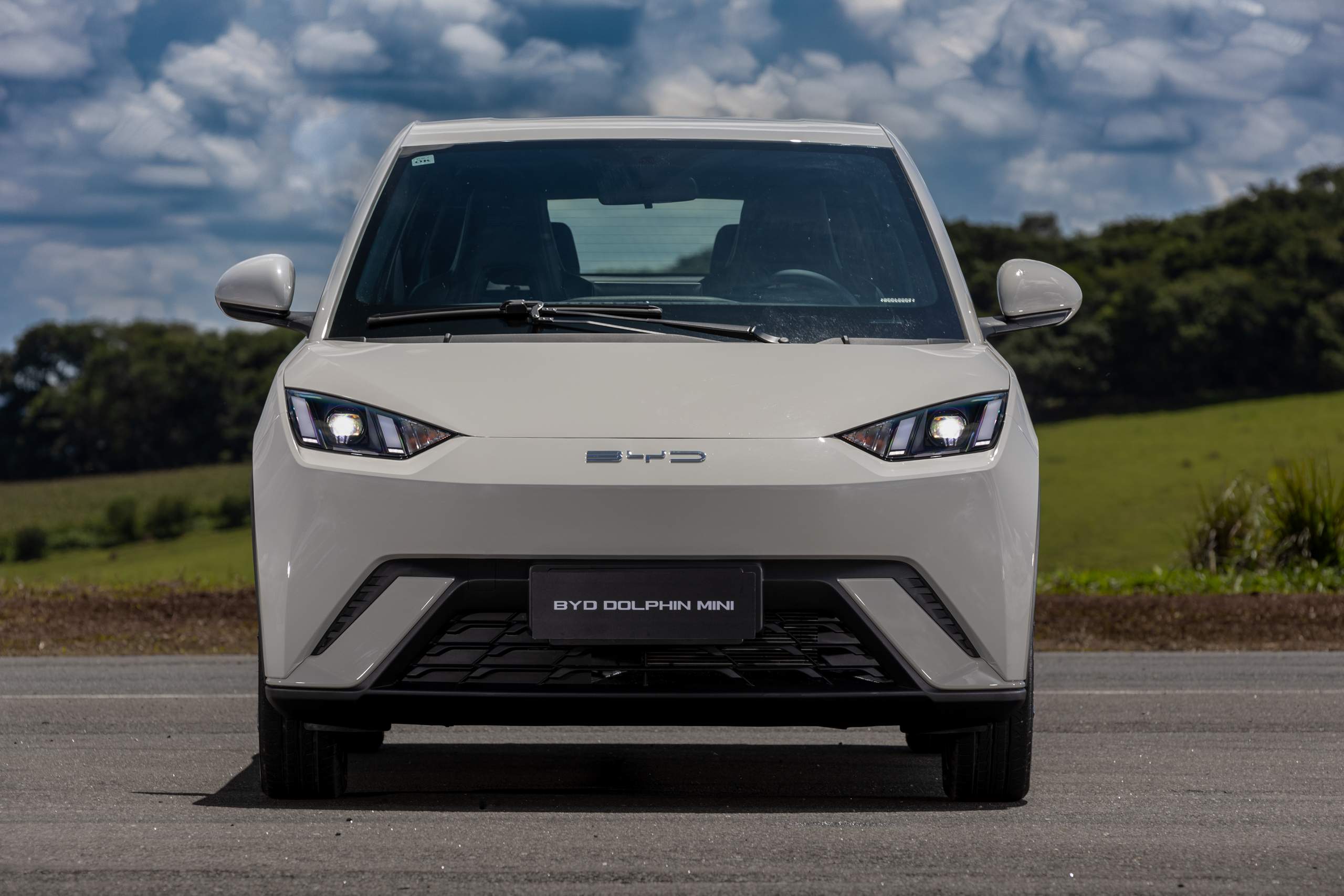 byd dolphin mini