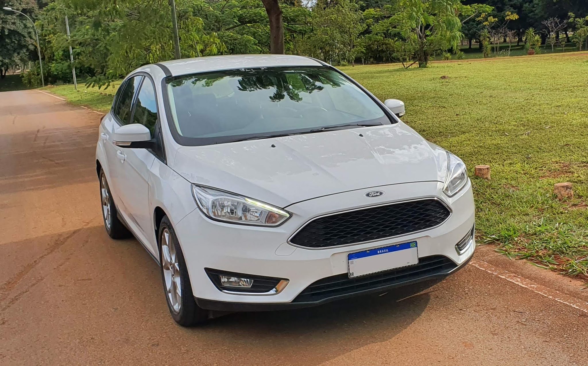 ford focus hatch 2019