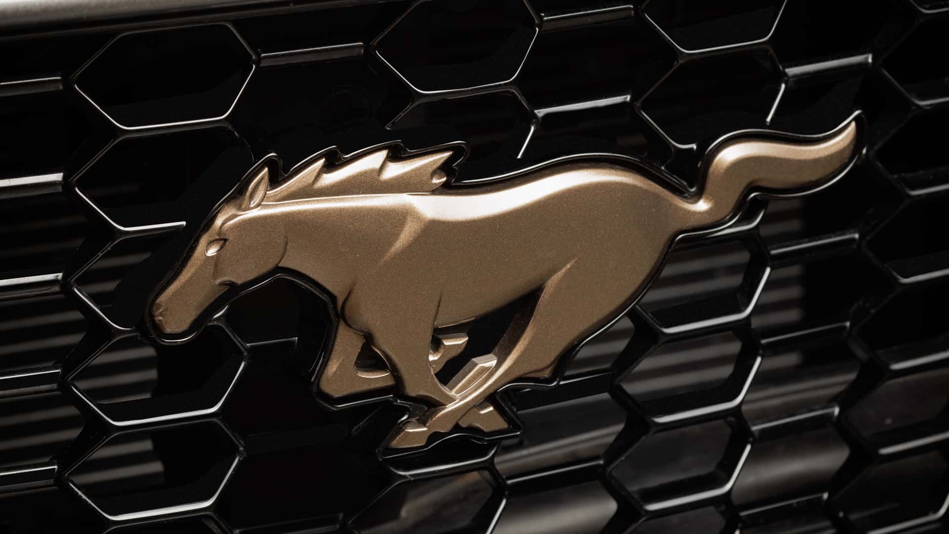ford mustang gt manual 2025