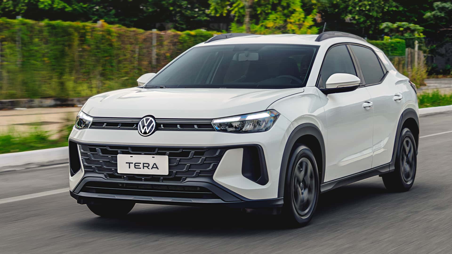 Volkswagen Tera