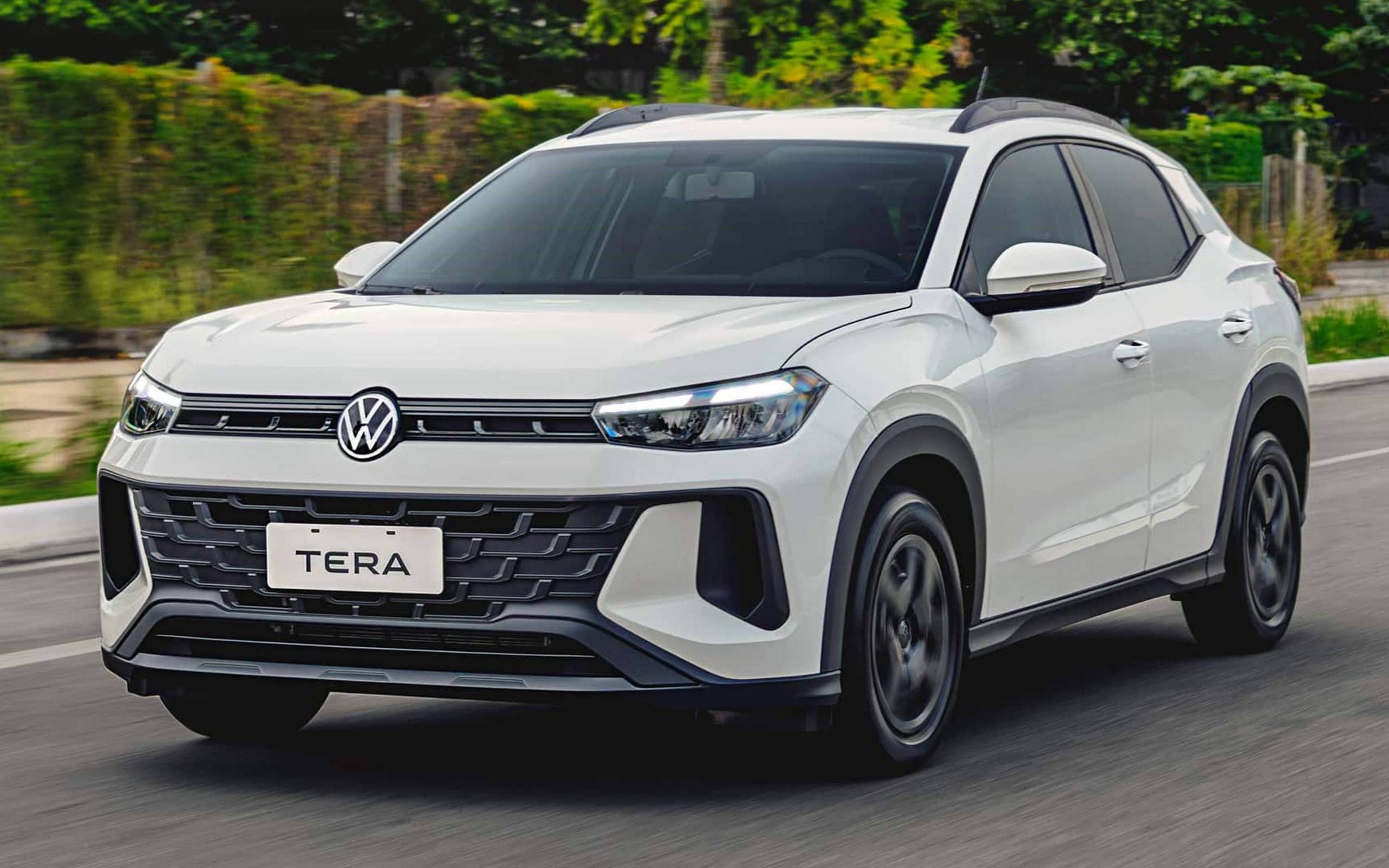 Volkswagen Tera